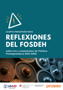 Alerta Presupuestaria. Reflexiones del FOSDEH sobre los Lineamientos de Política Presupuestaria 2024–2026